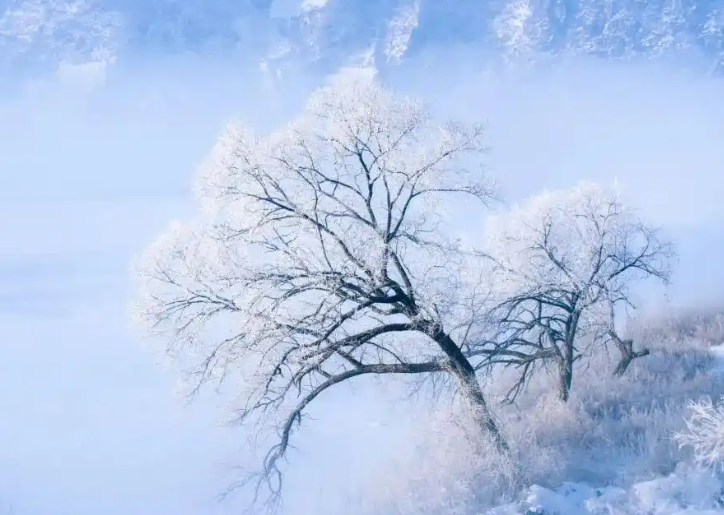 今年“三九”不冷后面还会冷吗?1月17号入四九会冷吗?