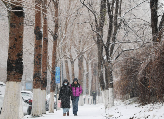 三九大暖!四九将迎寒冷暴击 今年“三九”不冷是不是错觉