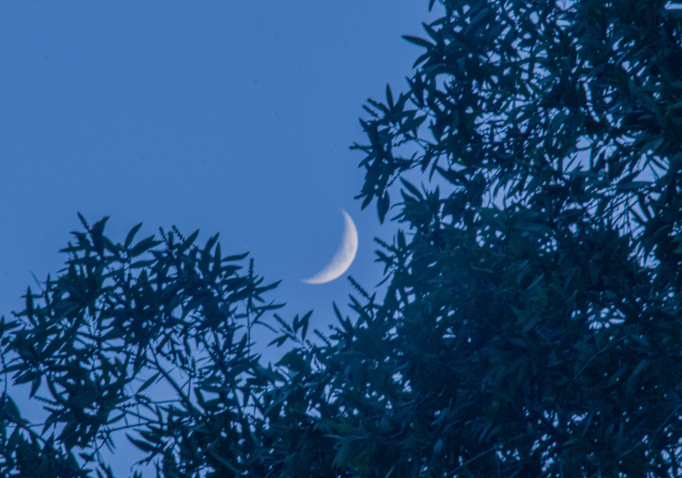 15日凌晨迎本年度最小残月!最小残月用肉眼可以看见吗?