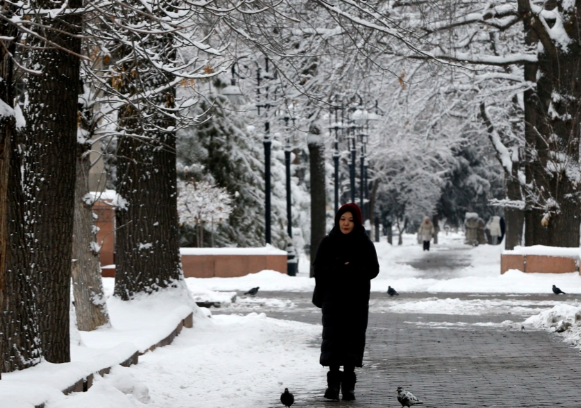 三九大暖!四九将迎寒冷暴击 今年“三九”不冷是不是错觉