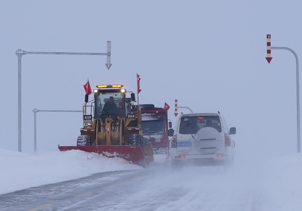 三九大暖!四九将迎寒冷暴击 今年“三九”不冷是不是错觉