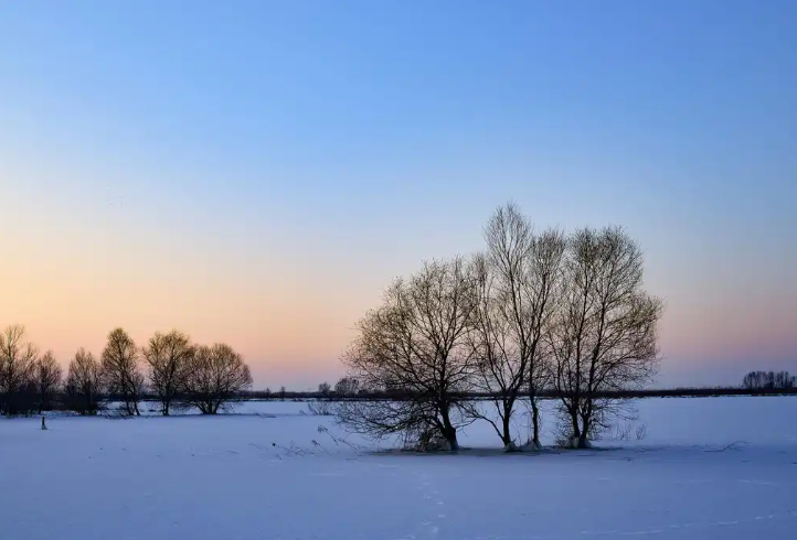 三九快结束了但暖意持续,明起进入四九会冷吗? 三九快结束了但暖意持续,明起进入四九会冷吗?