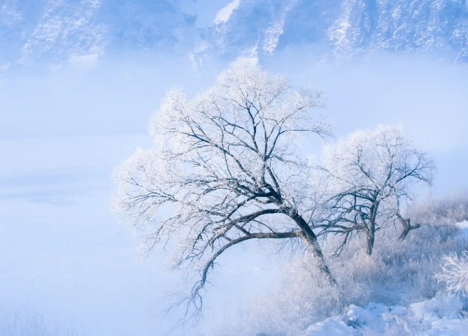 郑州下“白砂糖”了?这是大雪信号,河南雨雪进入最强时段 郑州下“白砂糖”了?这是大雪信号,河南雨雪进入最强时段