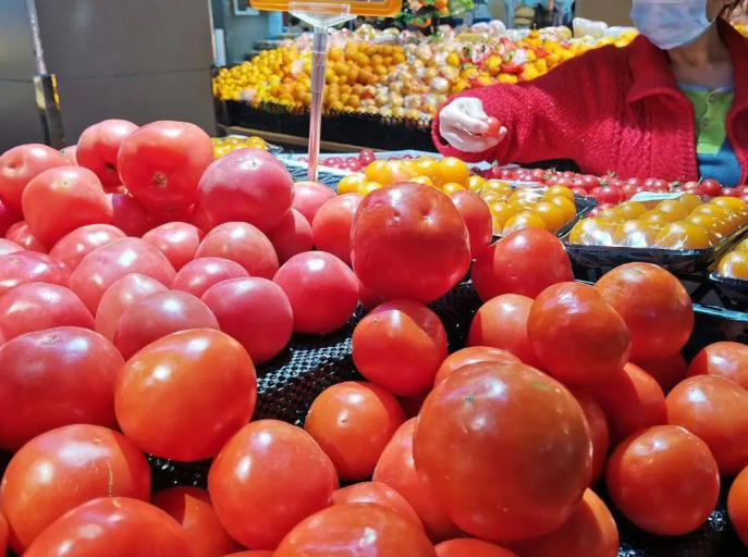 两个西红柿10块钱？西红柿价格暴涨将持续到3月