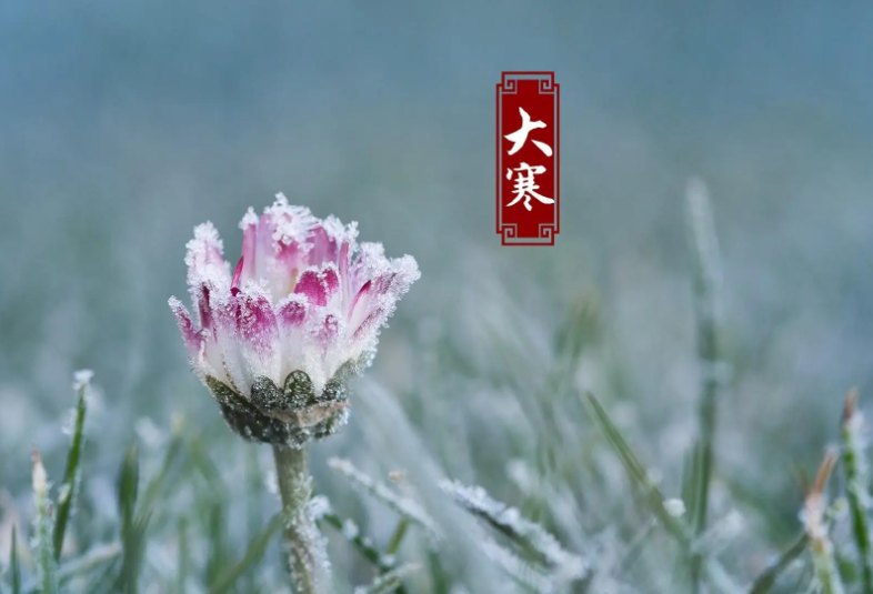 明日大寒巧用“三皮”应对寒潮，陈皮桂皮姜皮怎么吃护好脾肾肺?