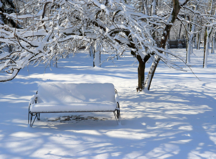 中央气象台暴雪三预警连发!长三角迎迅猛降温伴随降雨降雪