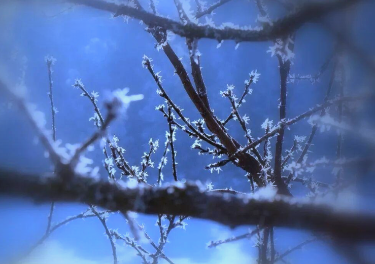 新疆-47.4℃刷新今冬最低温纪录，南方“冻哭”今年首场寒潮来袭