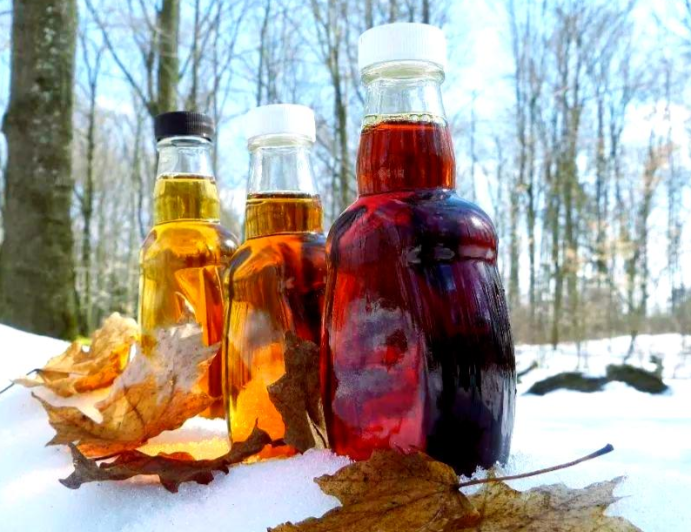 加拿大枫糖浆期货行情如何?2026年加拿大枫糖浆价格指数波动