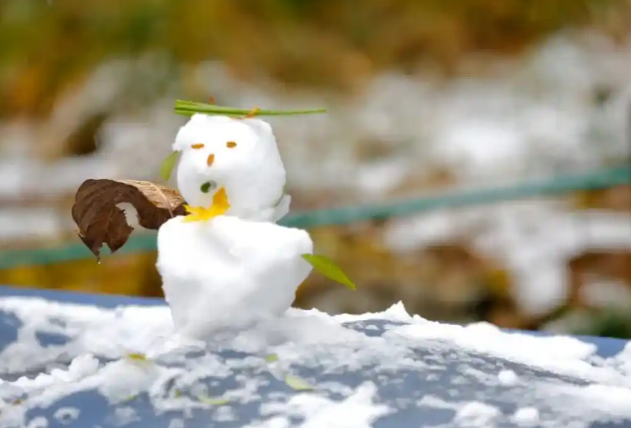 郑州下“白砂糖”了?这是大雪信号,河南雨雪进入最强时段 郑州下“白砂糖”了?这是大雪信号,河南雨雪进入最强时段