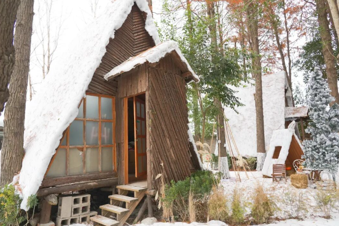 2026上海初雪已至!防风保暖 + 出行安全全攻略请查收 2026上海初雪已至!防风保暖 + 出行安全全攻略请查收