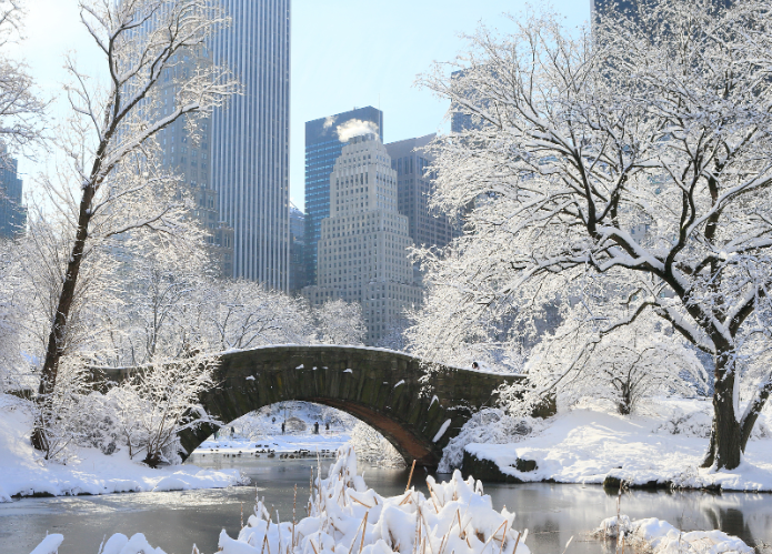 2026上海初雪已至!防风保暖 + 出行安全全攻略请查收 2026上海初雪已至!防风保暖 + 出行安全全攻略请查收