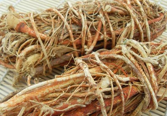 五爪龙草药功效作用有哪些 五爪龙草药可以给儿童服用吗