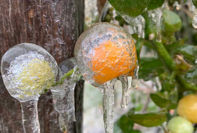 本轮冷空气为何如此猛烈?本轮寒潮不及2008年为何却更需警惕? 本轮冷空气为何如此猛烈?本轮寒潮不及2008年为何却更需警惕?