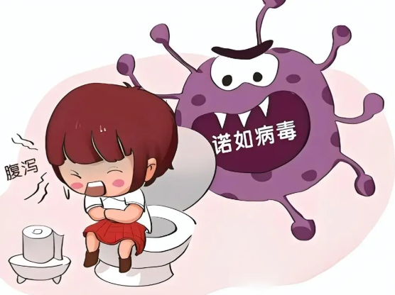 2026年诺如病毒感染进入高发季 冬春季节是诺如病毒感染的高发季节