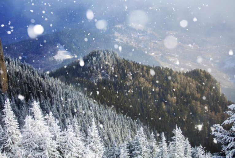 广州上一次下雪还是10年前,最低零下4℃广州今年会下雪吗?