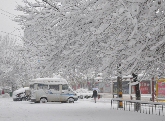 广州人为何执着于一场雪？广州上一次下雪还是10年前