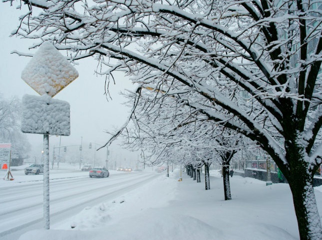 广州上一次下雪还是10年前,最低零下4℃广州今年会下雪吗?
