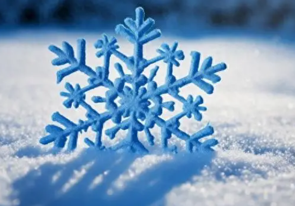 内蒙古现-44.6℃极寒天气,内蒙古居全国最低气温排行榜榜首! 内蒙古现-44.6℃极寒天气,内蒙古居全国最低气温排行榜榜首!