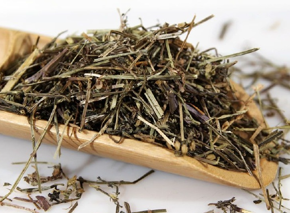 半枝莲的作用与功效有哪些 孕妇能服用含有半枝莲的中药吗