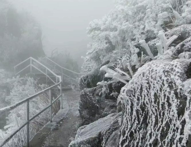 广州上一次下雪还是10年前,最低零下4℃广州今年会下雪吗?