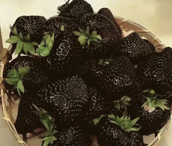 10元草莓和300元草莓有什么区别 黑草莓其富含花青素和类黄酮 10元草莓和300元草莓有什么区别 黑草莓其富含花青素和类黄酮