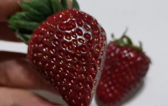 10元草莓和300元草莓有什么区别 黑草莓其富含花青素和类黄酮 10元草莓和300元草莓有什么区别 黑草莓其富含花青素和类黄酮