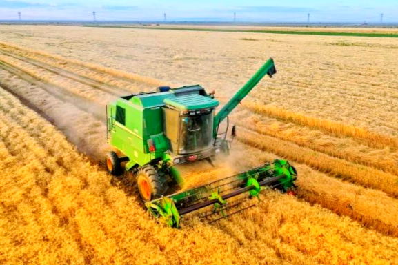 2025年粮食产量达14298亿斤 我国粮食产量连续两年稳定在1.4万亿斤以上