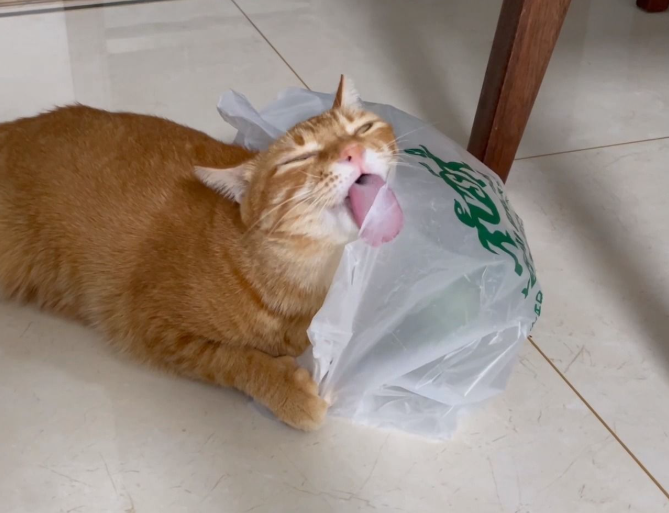 女子咳嗽4个多月元凶竟是一颗牙齿，结果竟是因为一个吃饭习惯！