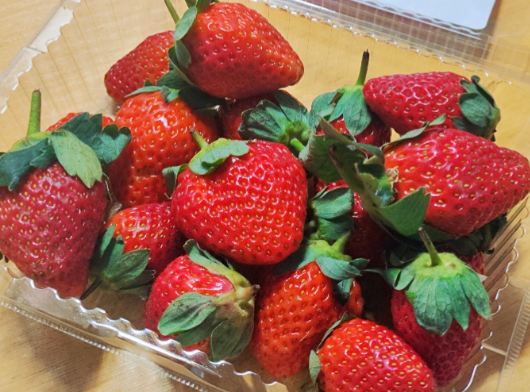 10元草莓和300元草莓有什么区别 黑草莓其富含花青素和类黄酮 10元草莓和300元草莓有什么区别 黑草莓其富含花青素和类黄酮