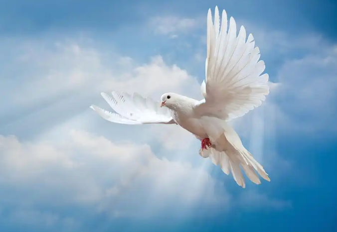 2026年中国人可以只用4个字平息矛盾吗? 2026年中国人可以只用4个字平息矛盾吗?