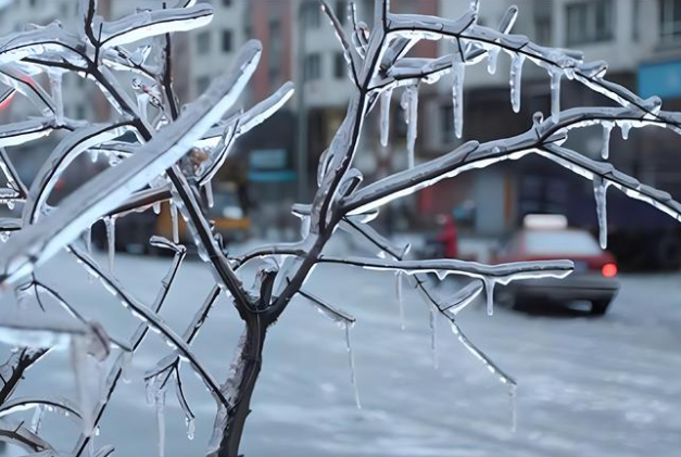 新一轮大范围雨雪将登场，全国20℃暖冬“限时体验”即将结束