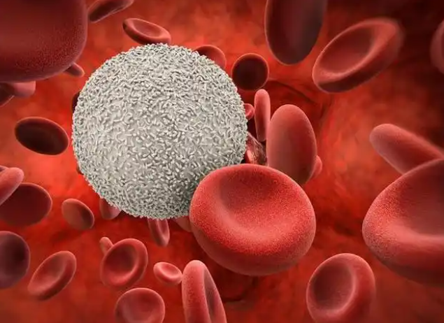 山东发现1例钻石血是啥血型?钻石血为啥比熊猫血更罕见? 山东发现1例钻石血是啥血型?钻石血为啥比熊猫血更罕见?