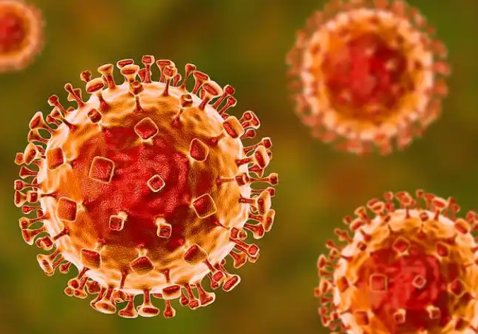 中国已将尼帕病毒列入监测，2026过年回家如何预防尼帕病毒感染？