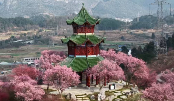 贵州梅园适合什么季节去玩 贵州梅园什么时间段人少 贵州梅园适合什么季节去玩 贵州梅园什么时间段人少