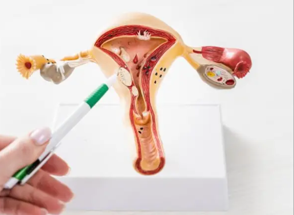 女子免疫系统攻击胚胎8年4次流产，免疫性不孕是咋回事？