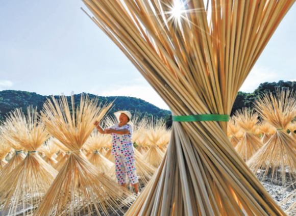 我国竹产业年产值超5200亿元 我国竹产品种类突破1.5万种