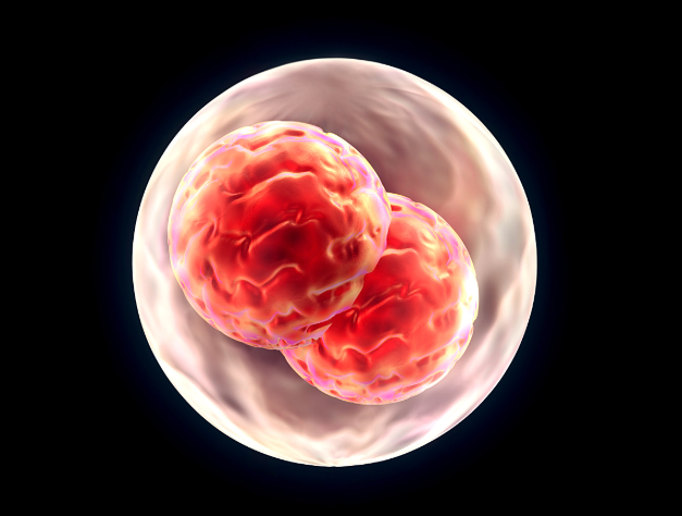 女子免疫系统攻击胚胎8年4次流产，免疫性不孕是咋回事？