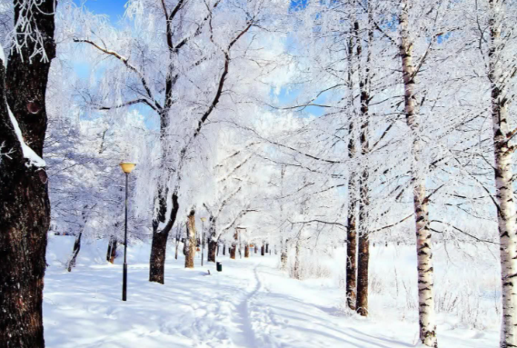 冷空气来袭!部分地区有大到暴雪 28日我国西部地区有大到暴雪天气 冷空气来袭!部分地区有大到暴雪 28日我国西部地区有大到暴雪天气