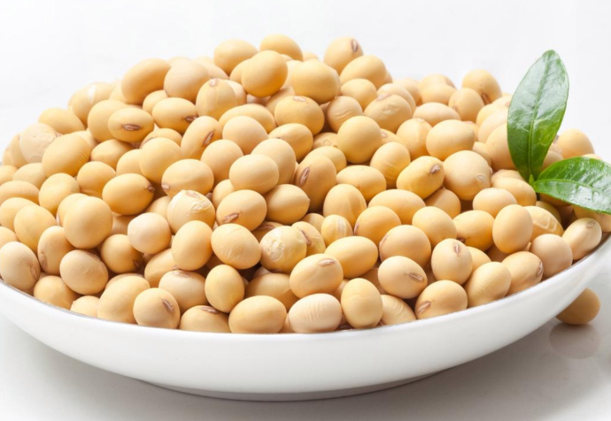 春节吃豆制品怎么防胀气？2026年发酵豆制品优选与食用建议