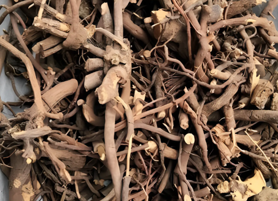 绣花针草药与哪些中药搭配使用效果更好 绣花针草药的功效作用有哪些 绣花针草药与哪些中药搭配使用效果更好 绣花针草药的功效作用有哪些