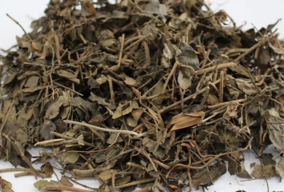 绣花针草药与哪些中药搭配使用效果更好 绣花针草药的功效作用有哪些 绣花针草药与哪些中药搭配使用效果更好 绣花针草药的功效作用有哪些