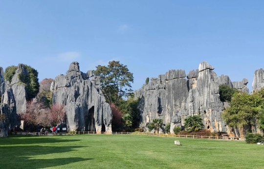 石林彝族自治县有哪些好玩的景区 石林彝族自治县适合什么季节去游玩 石林彝族自治县有哪些好玩的景区 石林彝族自治县适合什么季节去游玩