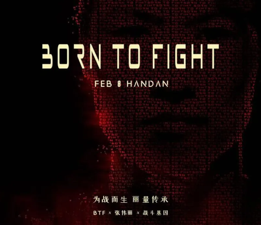 张伟丽创办BTF综合格斗冠军赛 BTF综合格斗冠军赛将在邯郸正式开赛