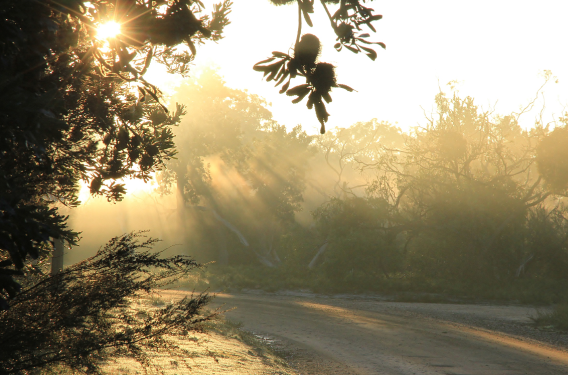 大回暖立春后可以收起羽绒服吗 2月3日至4日我国大部地区雨雪稀少晴朗干燥