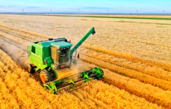 我国2025年粮食产量达1.43万亿斤 我国肉类产量首次超过1亿吨 我国2025年粮食产量达1.43万亿斤 我国肉类产量首次超过1亿吨