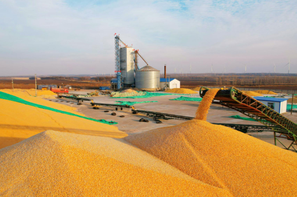 我国2025年粮食产量达1.43万亿斤 我国肉类产量首次超过1亿吨 我国2025年粮食产量达1.43万亿斤 我国肉类产量首次超过1亿吨