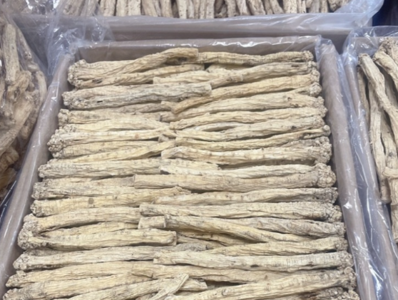 云参的功效与作用有哪些 云参与什么中药搭配使用效果更好