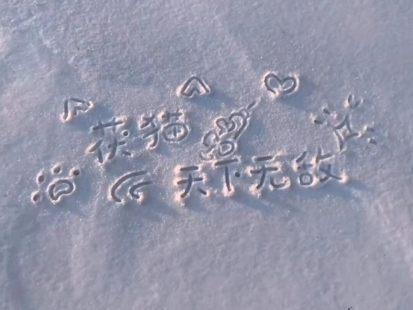 0成本雪地代写北方年轻人月入过万,2026年雪地代写爆火网络 0成本雪地代写北方年轻人月入过万,2026年雪地代写爆火网络