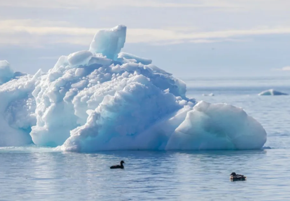 北极争夺战将打响欧美俄谁占据上风 北约启动“北极哨兵”军事规划工作