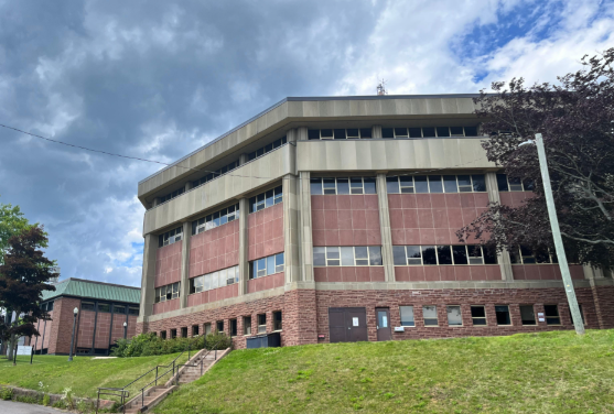 蒙特爱立森大学留学生录取标准2026 蒙特爱立森大学热门留学专业推荐2026